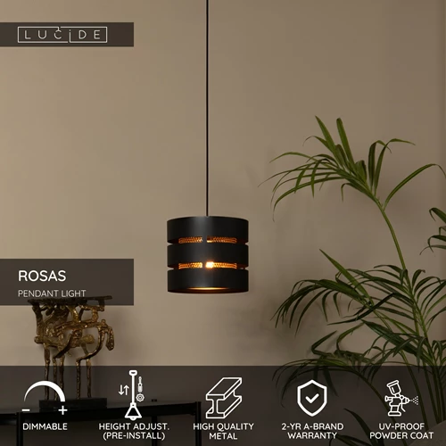 Lucide ROSAS - Pendant light - Ø 26 cm - 1xE27 - Black - USP